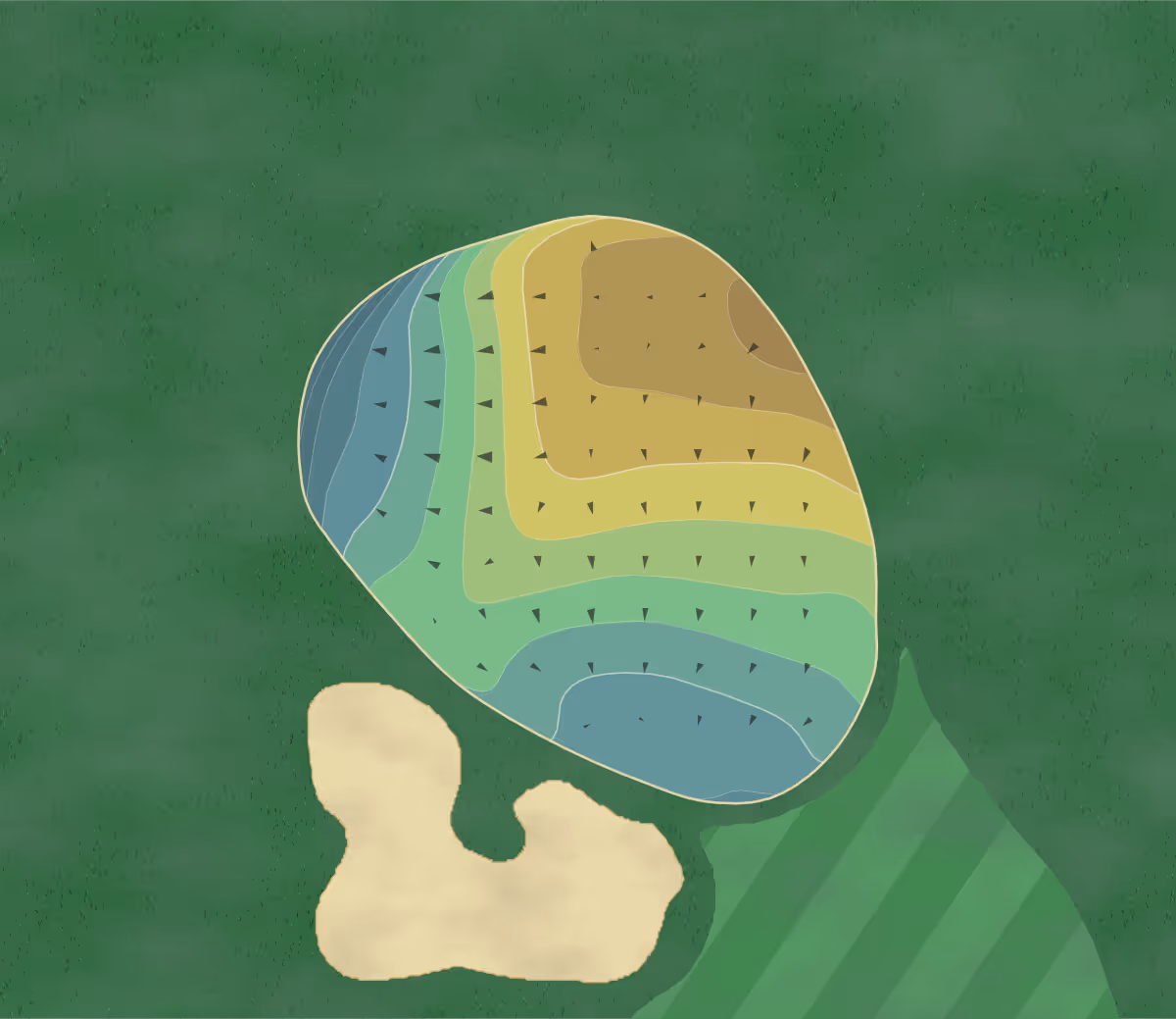 Green contour map of Golden Hills Golf & Country Club in Ocala, Florida — 165 elevation contours at a 3-inch interval with fall-line arrows, traced from 1-meter lidar