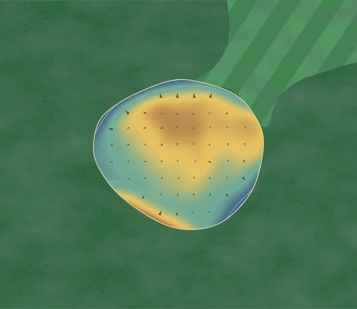 Green contour map of Golden Sands in Cecil, Wisconsin: 41 elevation contours at a 3-inch interval with fall-line arrows, traced from 1-meter lidar