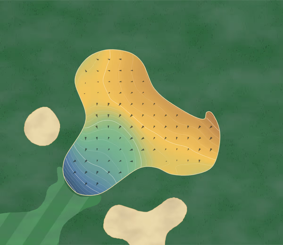 Green contour map of Goldsboro Municipal in Goldsboro, North Carolina — 220 elevation contours at a 3-inch interval with fall-line arrows, traced from 1-meter lidar
