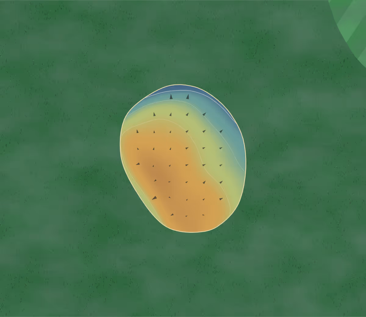 Green contour map of Golf Beauport in Québec, Canada: 26 elevation contours at a 8-centimeter interval with fall-line arrows, traced from 1-meter lidar