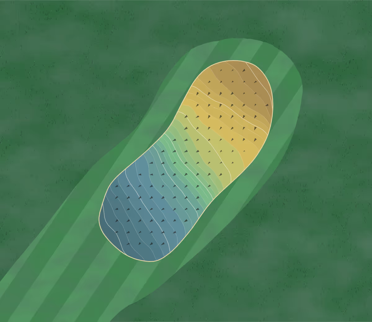 Green contour map of Golf Club de Lausanne in Lausanne 25, Switzerland — 221 elevation contours at a 8-centimeter interval with fall-line arrows, traced from 1-meter lidar