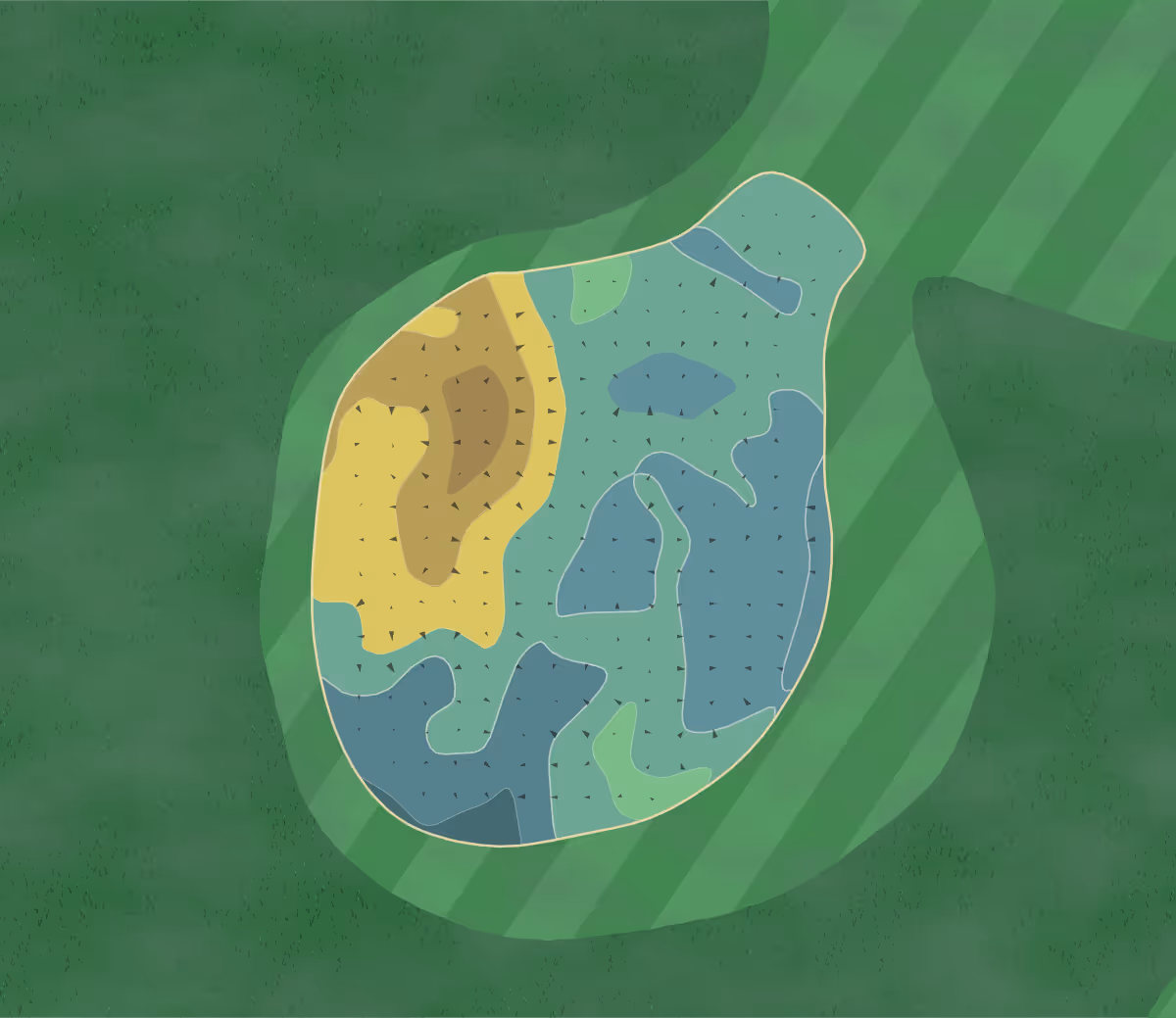 Green contour map of Golf Club de Sion in Rte de Vissigen 150, Switzerland — 144 elevation contours at a 8-centimeter interval with fall-line arrows, traced from 1-meter lidar