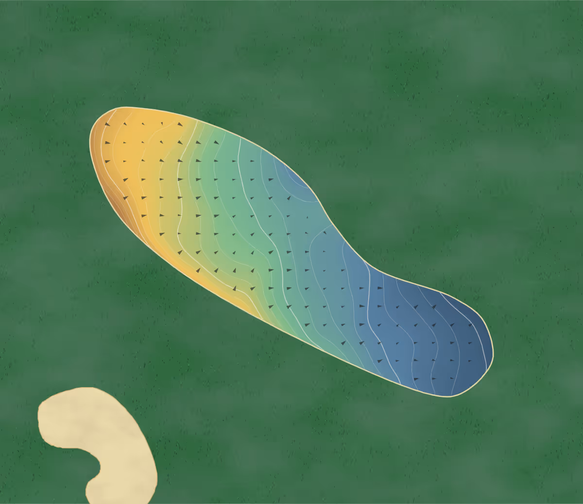 Green contour map of Golf Club of Purchase in Purchase, New York — 240 elevation contours at a 3-inch interval with fall-line arrows, traced from 1-meter lidar