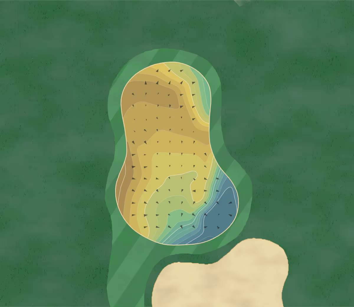 Green contour map of Patriziale Ascona in Ascona, Switzerland — 216 elevation contours at a 8-centimeter interval with fall-line arrows, traced from 1-meter lidar