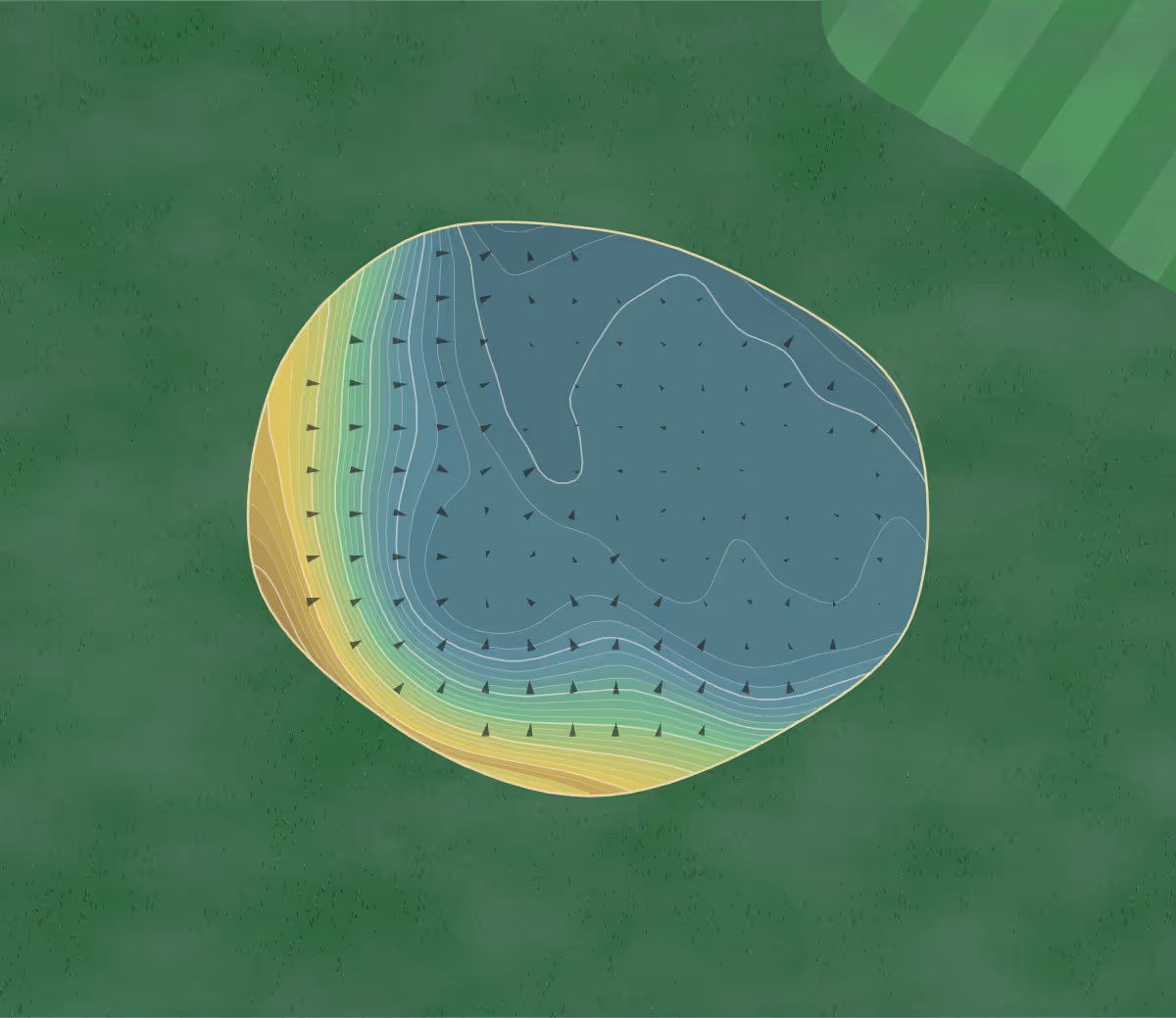 Green contour map of Blumisberg in Wünnewil-Flamatt, Switzerland — 244 elevation contours at a 8-centimeter interval with fall-line arrows, traced from 1-meter lidar