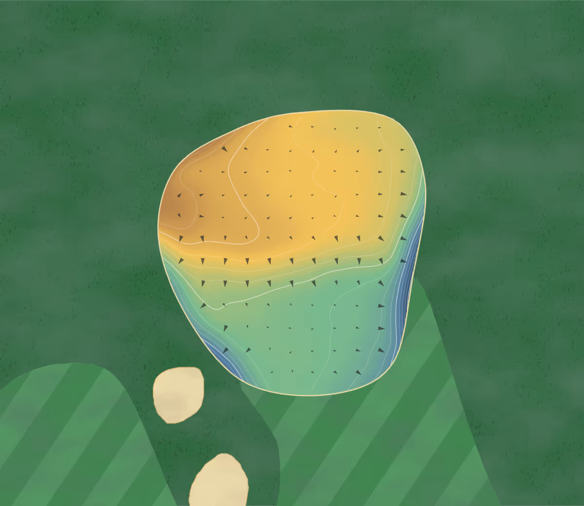 Green contour map of Golf d'Arcachon in La Teste-de-Buch, France — 163 elevation contours at a 8-centimeter interval with fall-line arrows, traced from 1-meter lidar