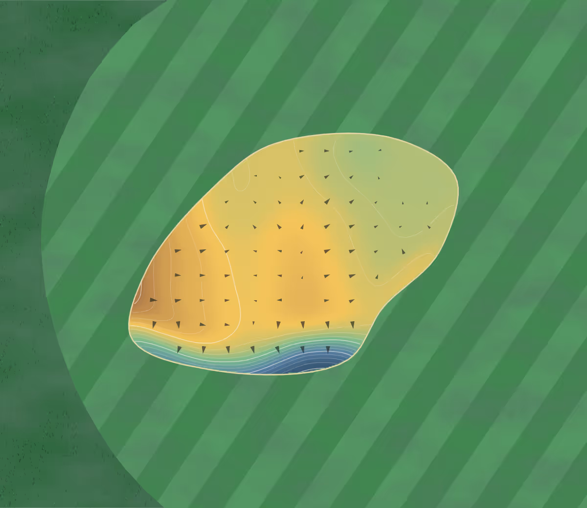 Green contour map of Golf d'Orléans Limère in Ardon, France — 150 elevation contours at a 8-centimeter interval with fall-line arrows, traced from 1-meter lidar