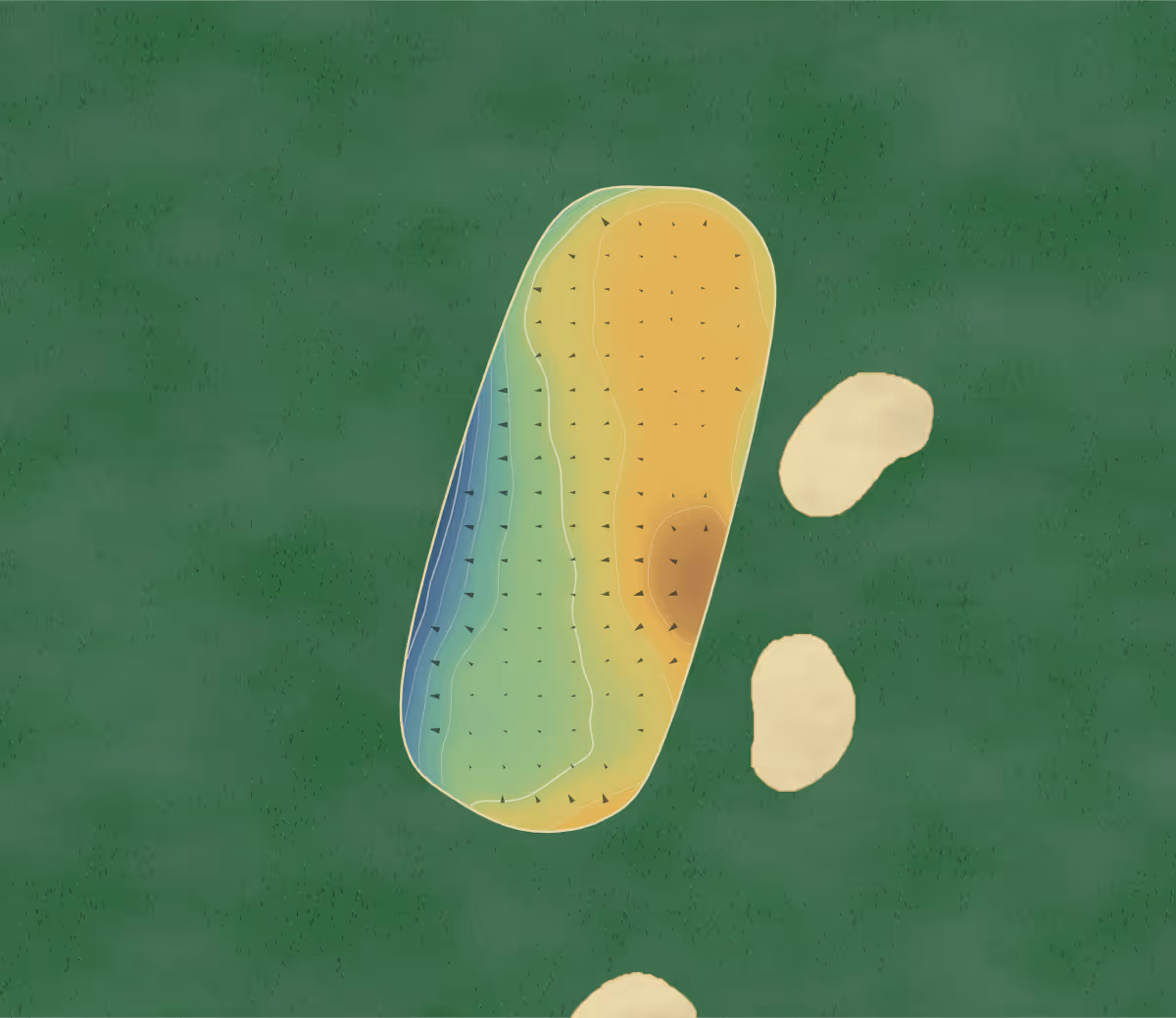 Green contour map of Golf de Combles in Combles-en-Barrois, France — 128 elevation contours at a 8-centimeter interval with fall-line arrows, traced from 1-meter lidar
