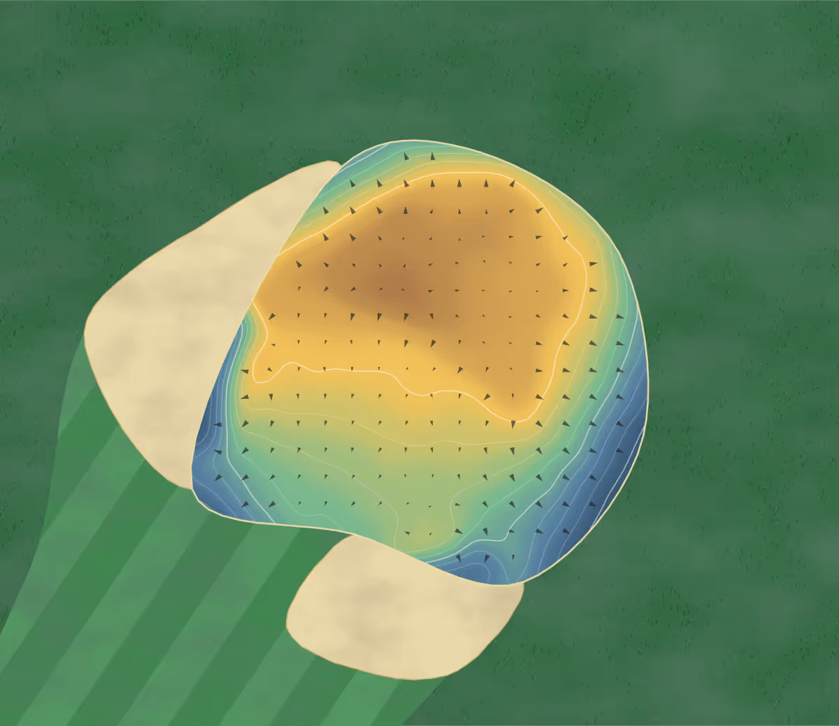 Green contour map of L'Auberivière in Lévis, Canada: 78 elevation contours at a 8-centimeter interval with fall-line arrows, traced from 1-meter lidar