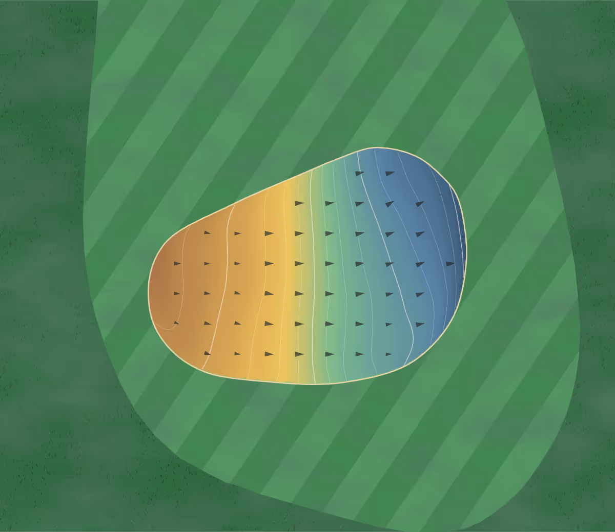 Green contour map of Golf de Lyon Verger in Saint-Symphorien-d'Ozon, France — 90 elevation contours at a 8-centimeter interval with fall-line arrows, traced from 1-meter lidar