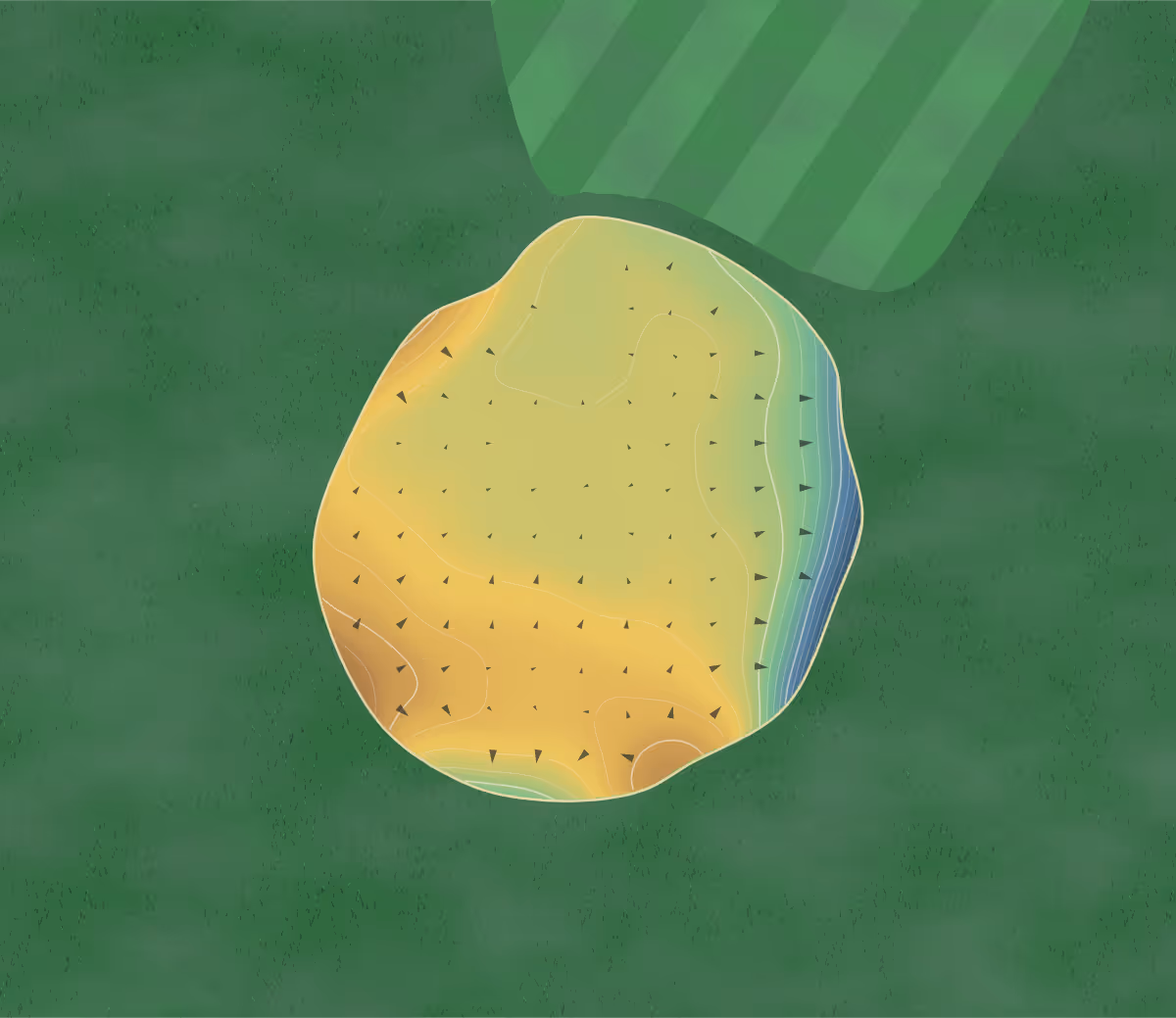 Green contour map of Golf de Sainte-Maxime in Sainte-Maxime, France — 118 elevation contours at a 8-centimeter interval with fall-line arrows, traced from 1-meter lidar