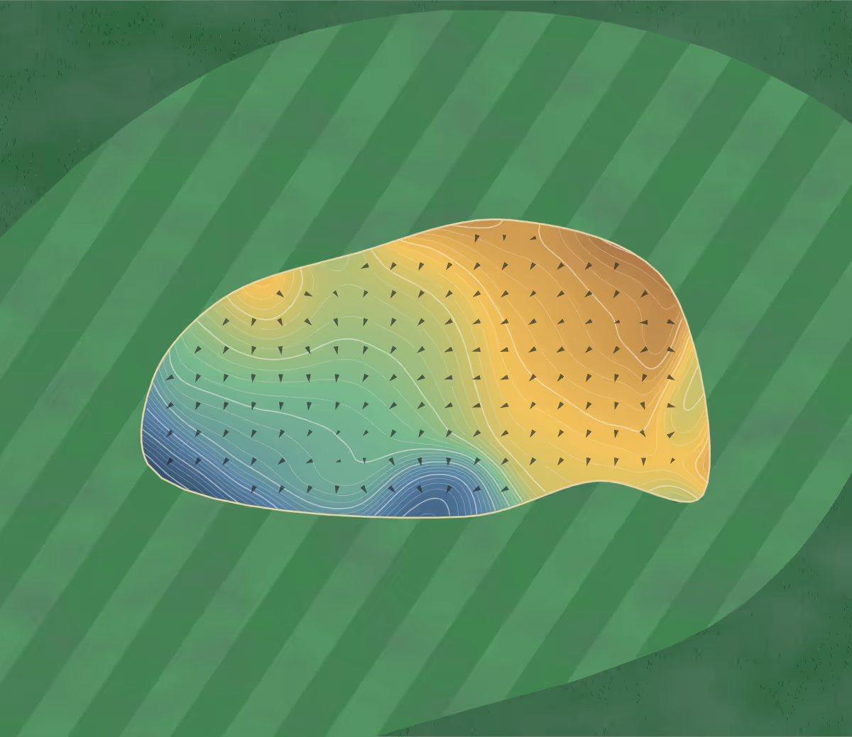 Green contour map of Golf de Seignosse in Seignosse, France — 335 elevation contours at a 8-centimeter interval with fall-line arrows, traced from 1-meter lidar