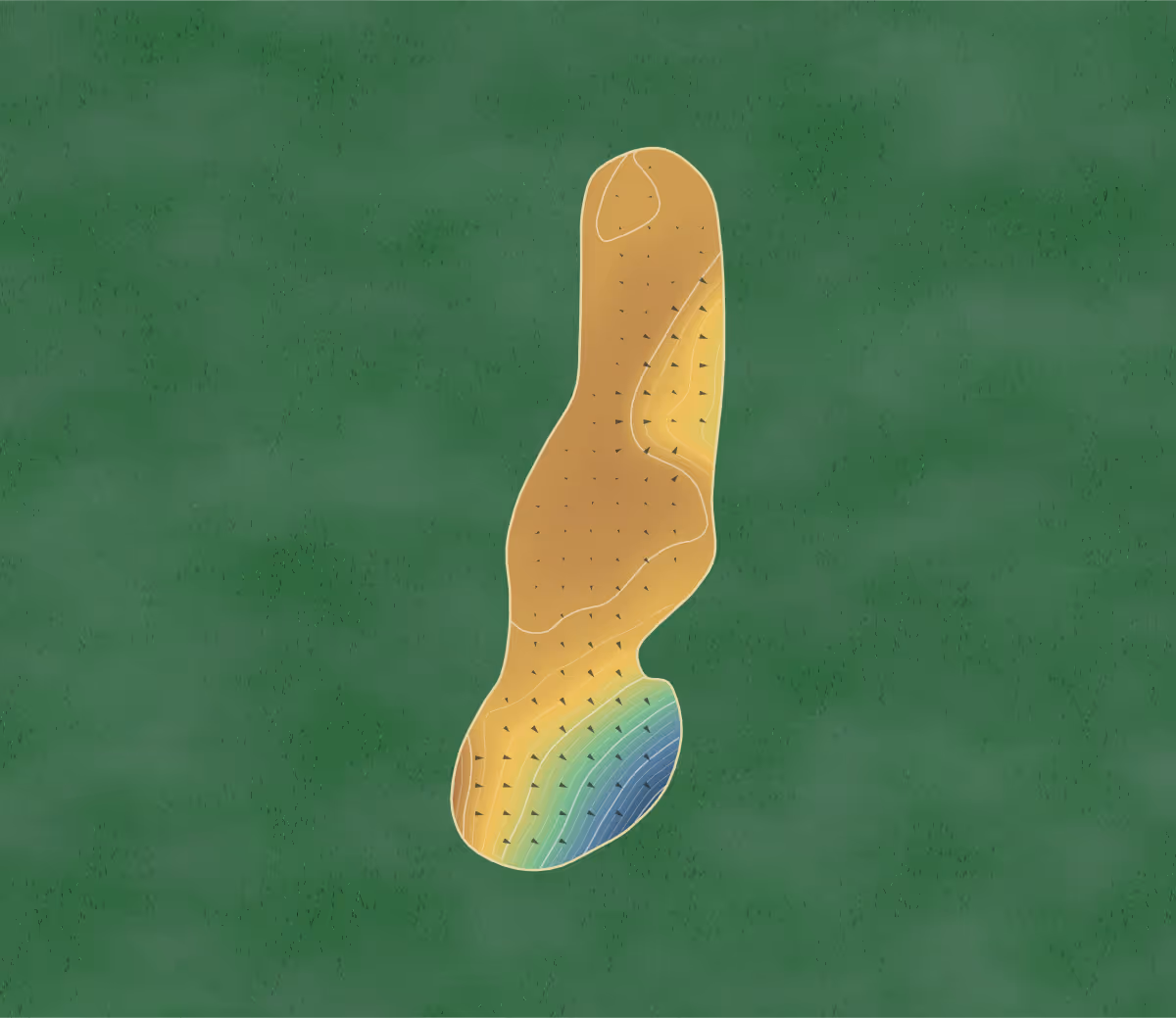 Green contour map of Golf du Pic Saint-Loup in Saint-Gély-du-Fesc, France — 163 elevation contours at a 8-centimeter interval with fall-line arrows, traced from 1-meter lidar