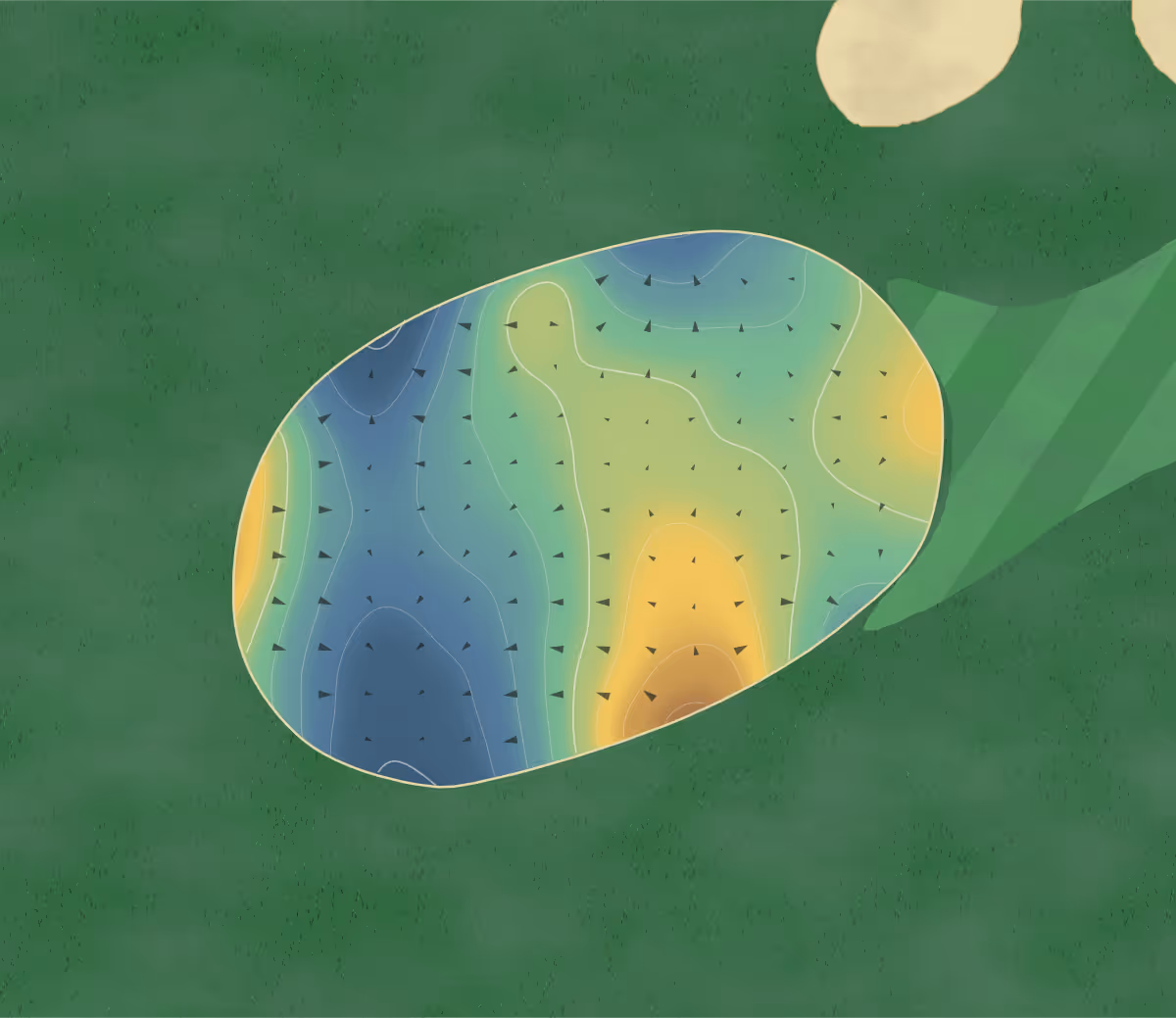Green contour map of Cardinal in Laval, Canada: 188 elevation contours at a 8-centimeter interval with fall-line arrows, traced from 1-meter lidar