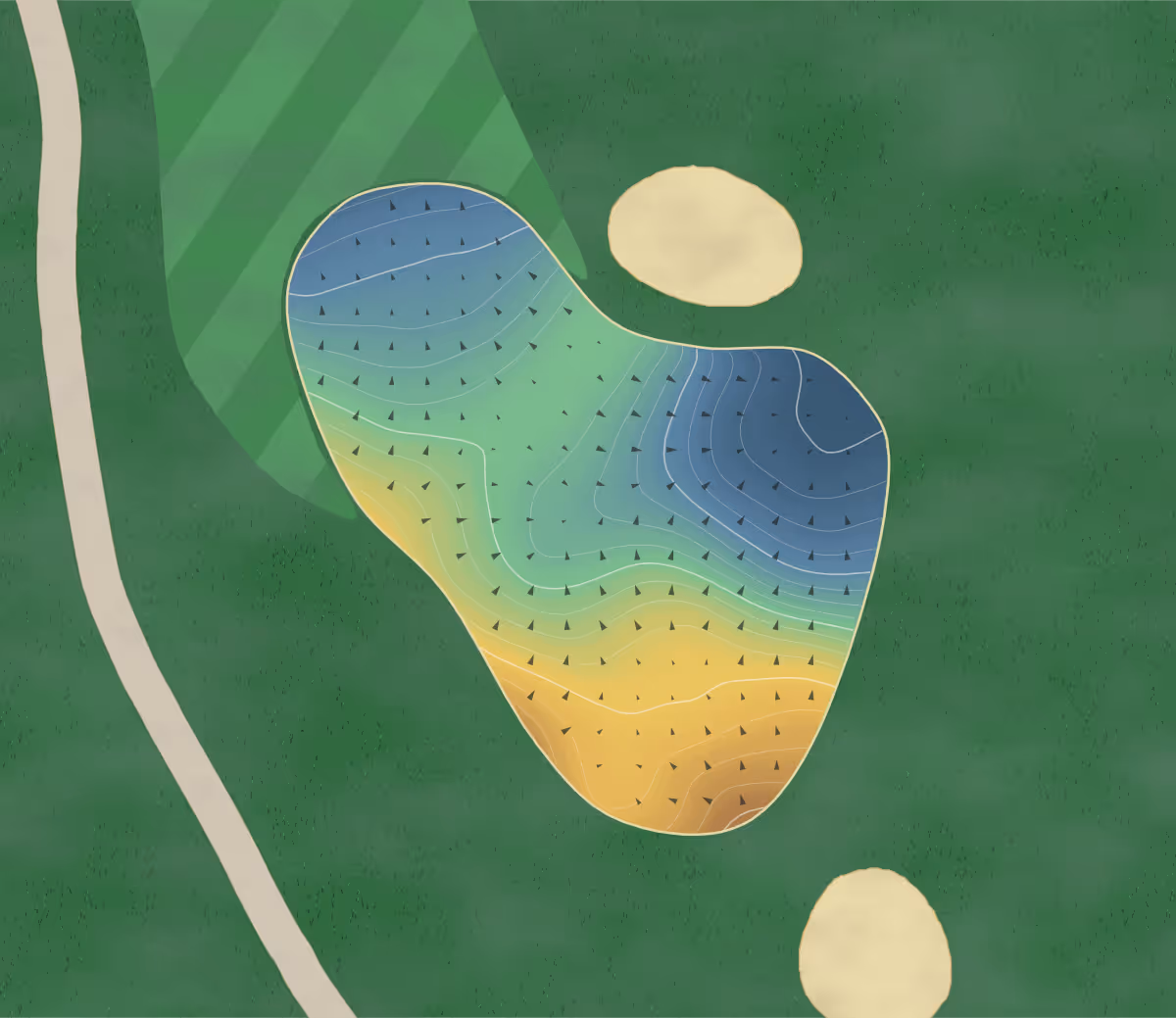 Green contour map of Le Maître De Mont Tremblant in Mont-Tremblant, Canada: 152 elevation contours at a 8-centimeter interval with fall-line arrows, traced from 1-meter lidar