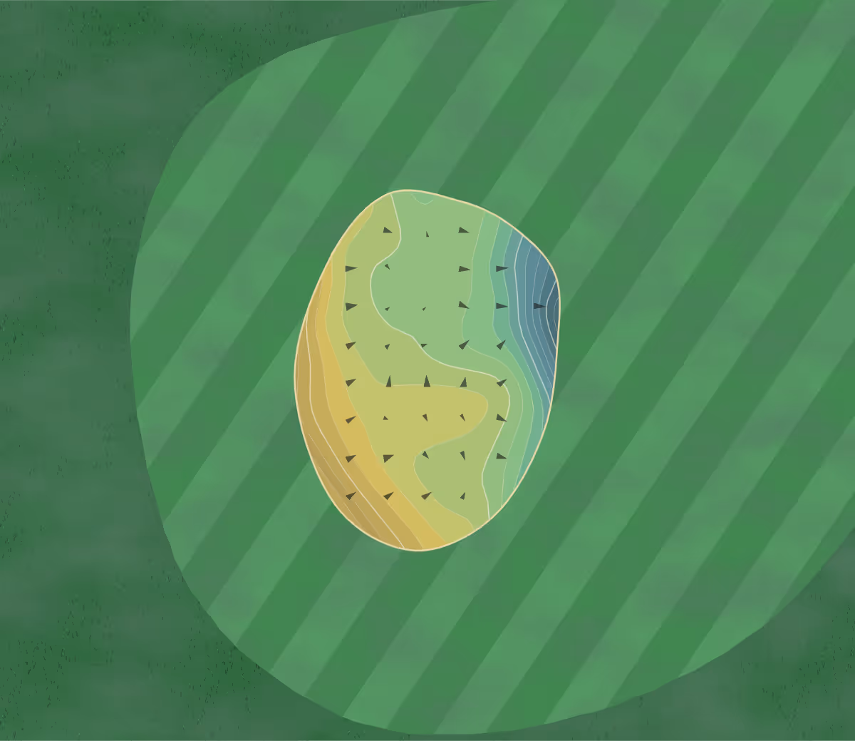 Green contour map of Golf Rastenmoos in Neuenkirch, Switzerland — 86 elevation contours at a 8-centimeter interval with fall-line arrows, traced from 1-meter lidar