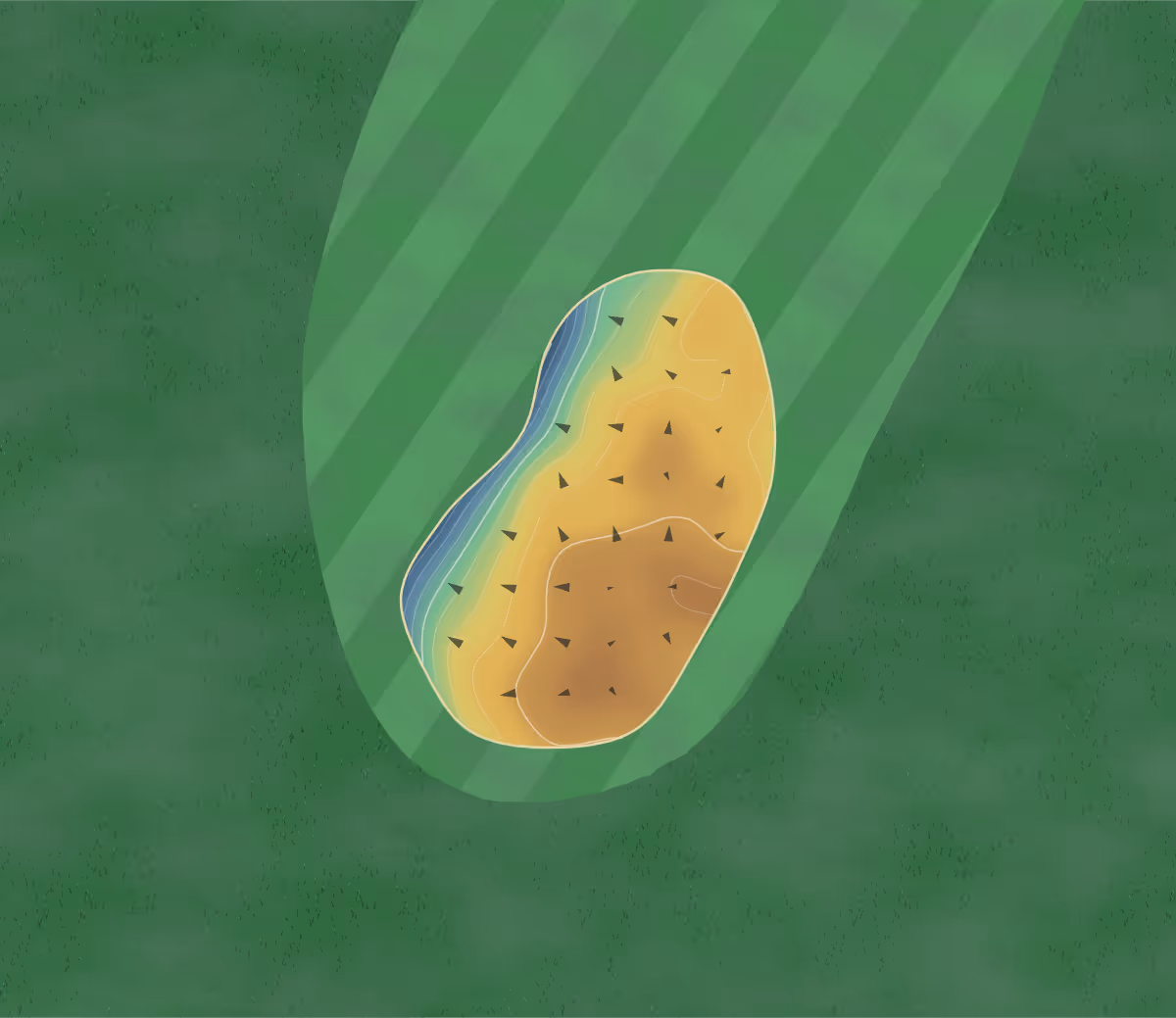 Green contour map of Golf Schinznach Bad in Schinznach-Bad, Switzerland — 60 elevation contours at a 8-centimeter interval with fall-line arrows, traced from 1-meter lidar
