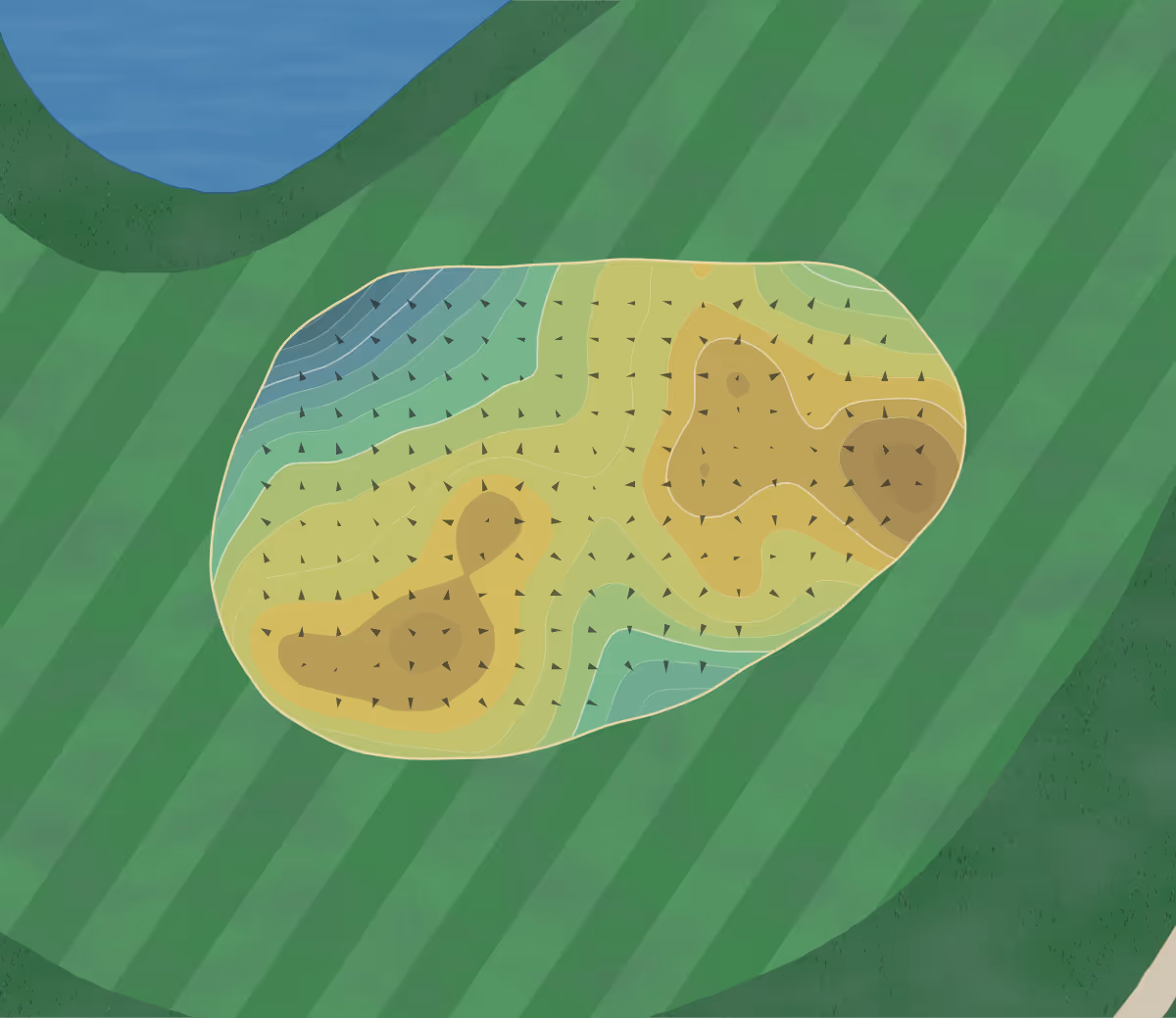 Green contour map of Swinkelsche in PC Someren, Netherlands — 180 elevation contours at a 8-centimeter interval with fall-line arrows, traced from 1-meter lidar