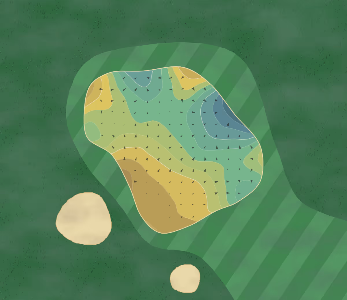 Green contour map of Golfbaan Dirkshorn in EE Dirkshorn, Netherlands — 196 elevation contours at a 8-centimeter interval with fall-line arrows, traced from 1-meter lidar