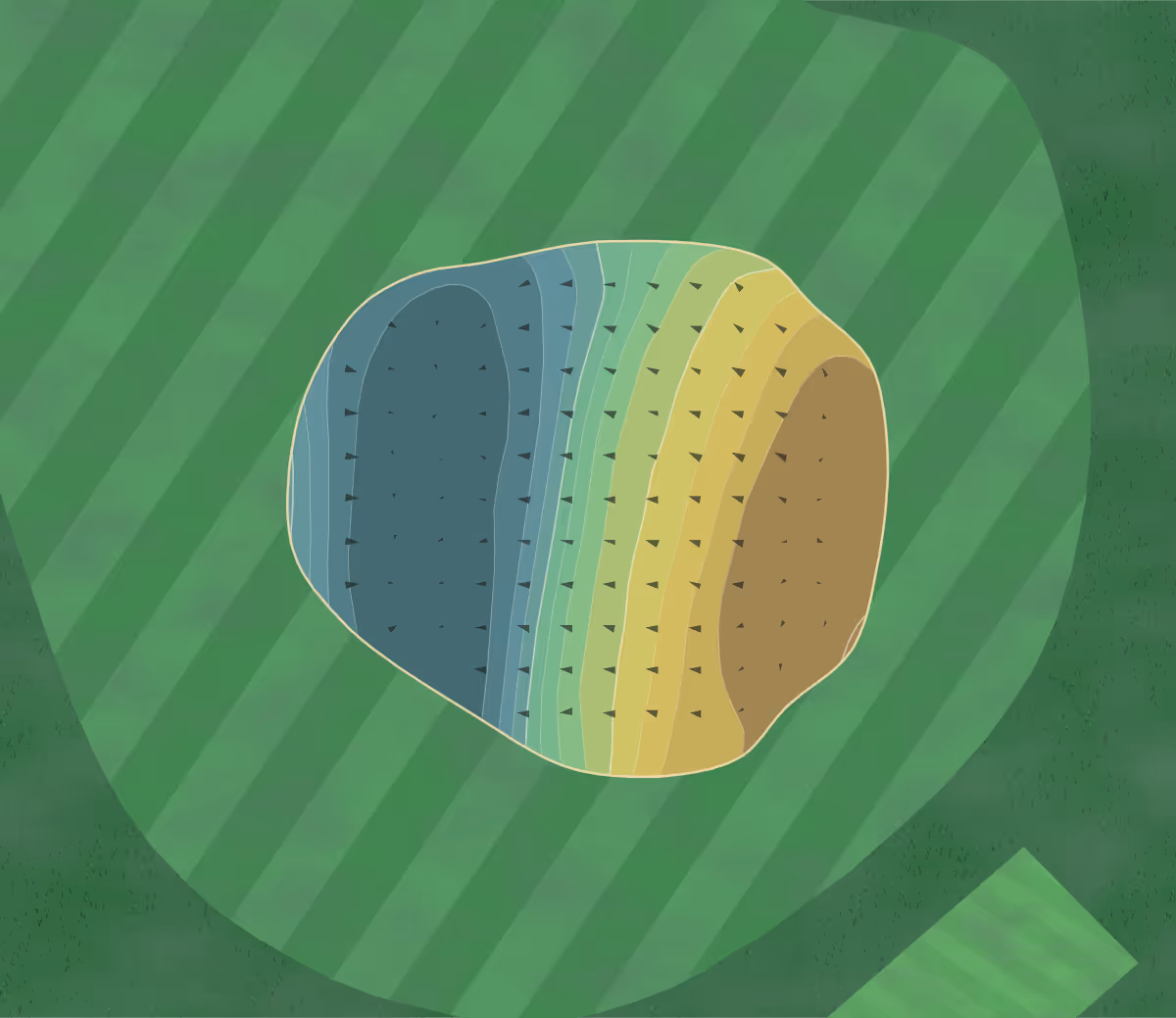 Green contour map of Golfclub Capelle in LB Capelle aan den IJssel, Netherlands — 111 elevation contours at a 8-centimeter interval with fall-line arrows, traced from 1-meter lidar