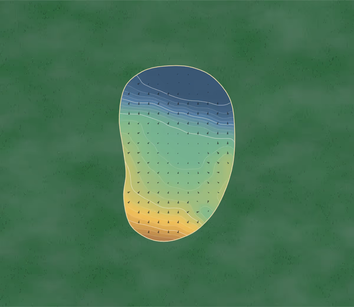 Green contour map of Golspie in Golspie, Scotland: 169 elevation contours at a 8-centimeter interval with fall-line arrows, traced from 1-meter lidar