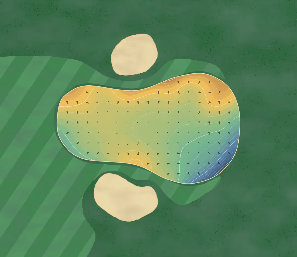 Green contour map of Goodwood in Chichester, England: 243 elevation contours at a 8-centimeter interval with fall-line arrows, traced from 1-meter lidar
