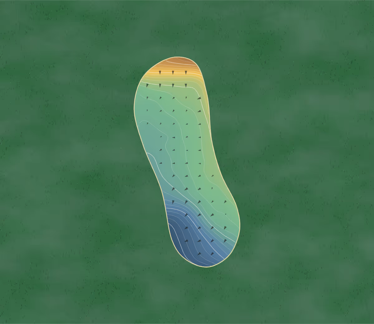Green contour map of Gordon in Gordon, Australia — 164 elevation contours at a 8-centimeter interval with fall-line arrows, traced from 1-meter lidar