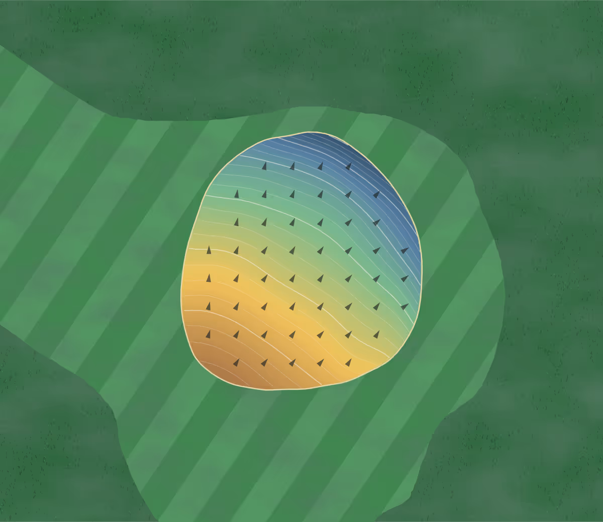 Green contour map of Gothic Hill in Elma, New York — 145 elevation contours at a 3-inch interval with fall-line arrows, traced from 1-meter lidar