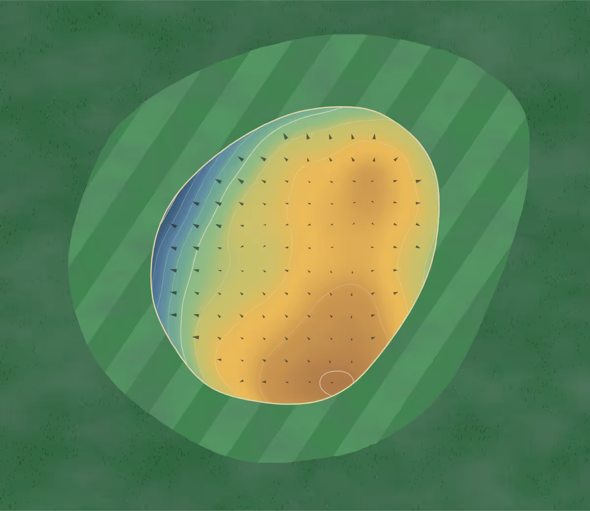 Green contour map of Gowrie Municipal in Gowrie, Iowa: 49 elevation contours at a 3-inch interval with fall-line arrows, traced from 1-meter lidar