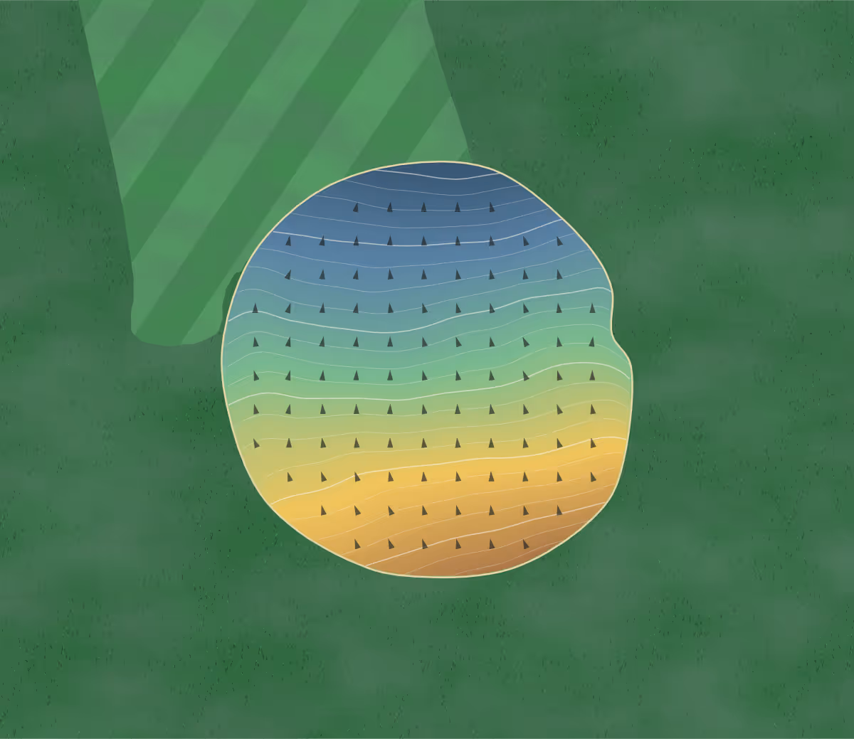 Green contour map of Gracewil in Grand Rapids, Michigan: 384 elevation contours at a 3-inch interval with fall-line arrows, traced from 1-meter lidar