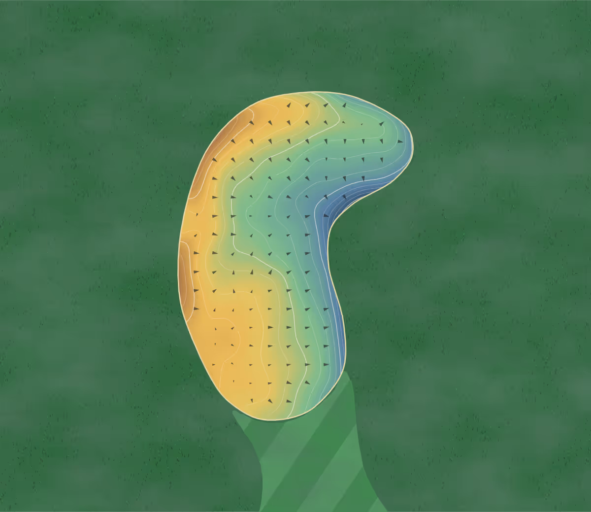 Green contour map of Grand Ledge in Grand Ledge, Michigan: 176 elevation contours at a 3-inch interval with fall-line arrows, traced from 1-meter lidar