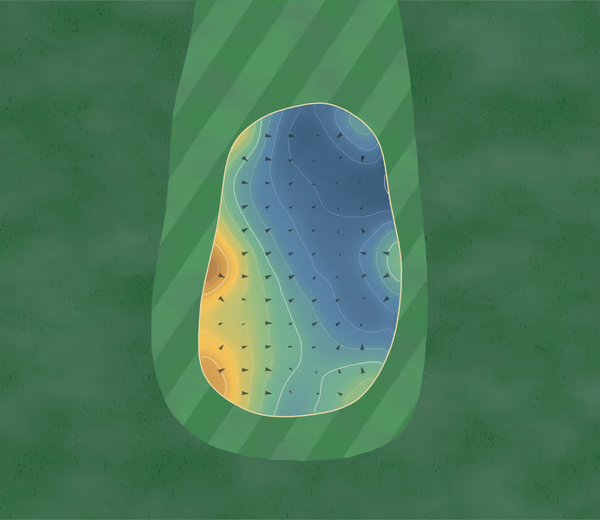 Green contour map of Grandover in Greensboro, North Carolina: 43 elevation contours at a 3-inch interval with fall-line arrows, traced from 1-meter lidar