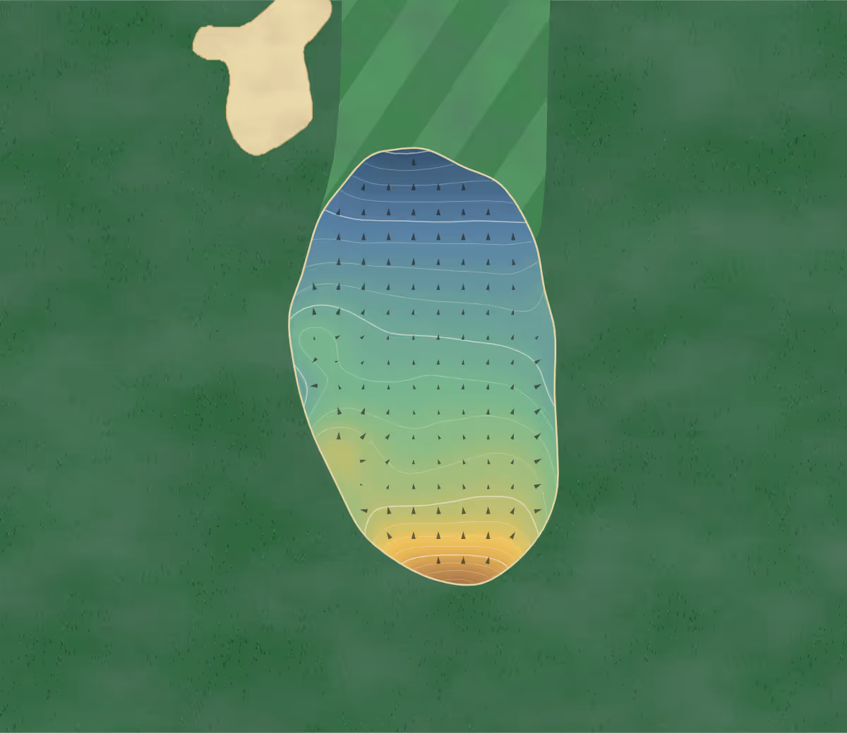 Green contour map of Grange in Rathfarnham, Ireland: 245 elevation contours at a 8-centimeter interval with fall-line arrows, traced from 1-meter lidar