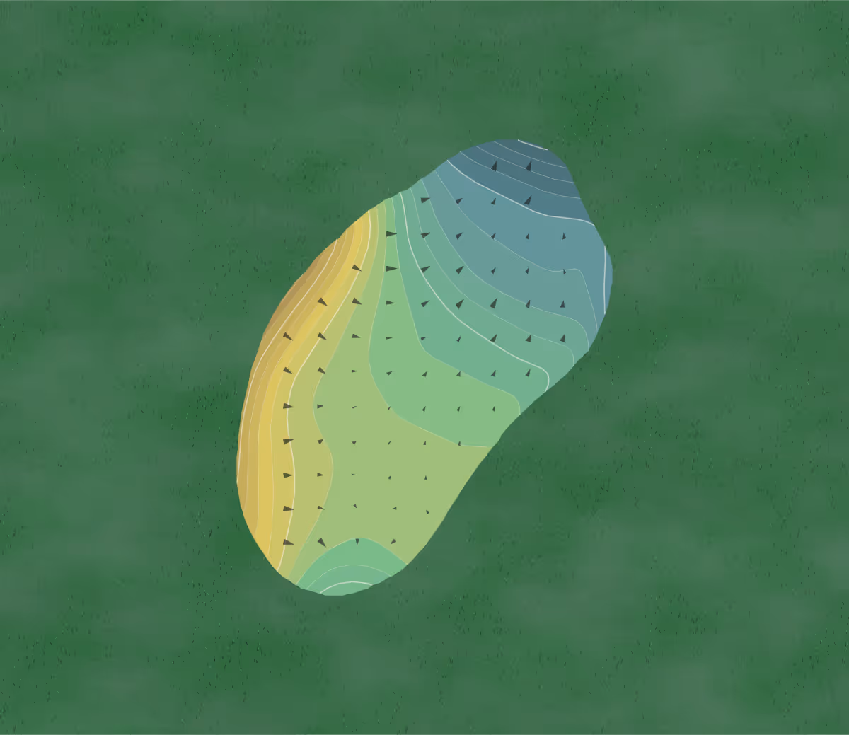Green contour map of Grasslands in Lakeland, Florida — 35 elevation contours at a 3-inch interval with fall-line arrows, traced from 1-meter lidar