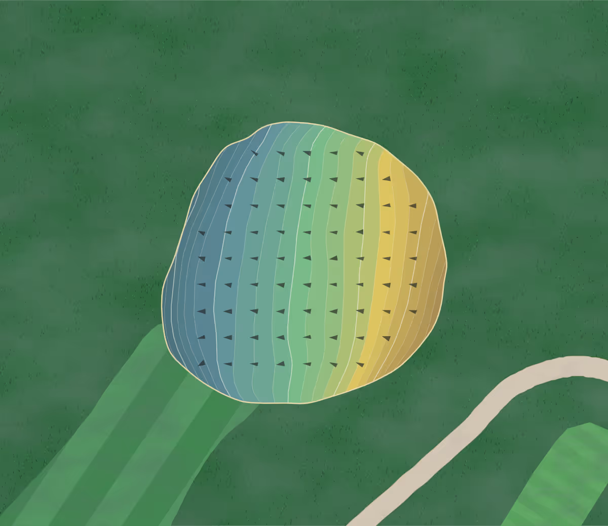 Green contour map of Grassy Hill in Orange, Connecticut — 227 elevation contours at a 3-inch interval with fall-line arrows, traced from 1-meter lidar
