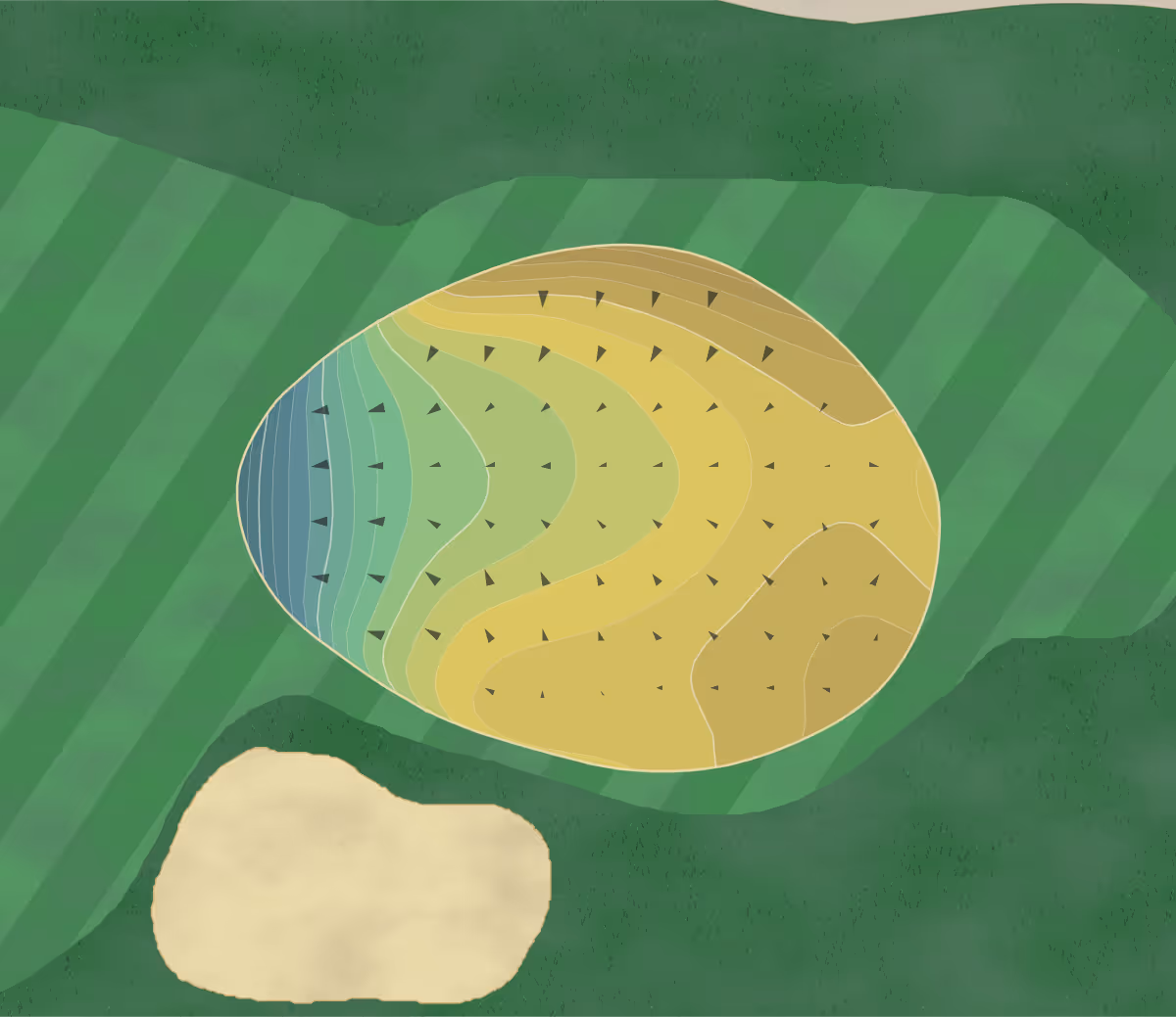 Green contour map of Raptor in Scottsdale, Arizona — 299 elevation contours at a 3-inch interval with fall-line arrows, traced from 1-meter lidar