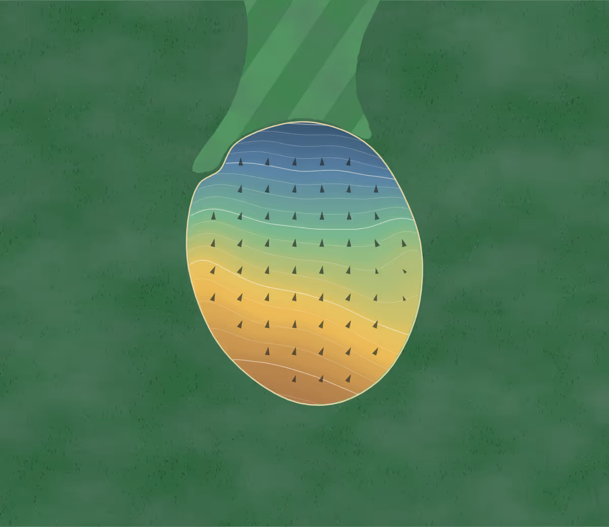Green contour map of Green Crest in Middletown, Ohio: 169 elevation contours at a 3-inch interval with fall-line arrows, traced from 1-meter lidar