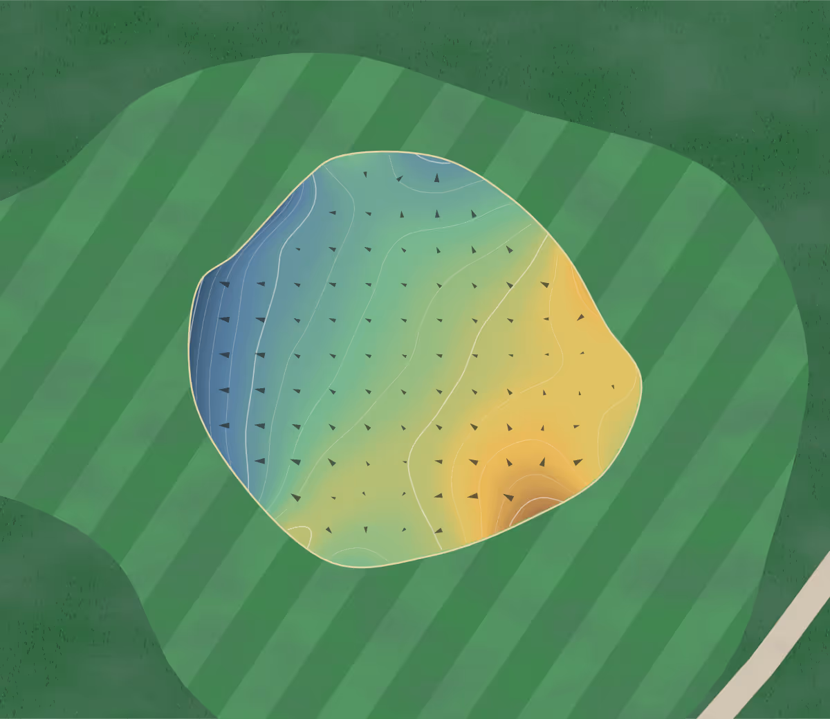 Green contour map of Greenwood in Greenwood, South Carolina — 212 elevation contours at a 3-inch interval with fall-line arrows, traced from 1-meter lidar