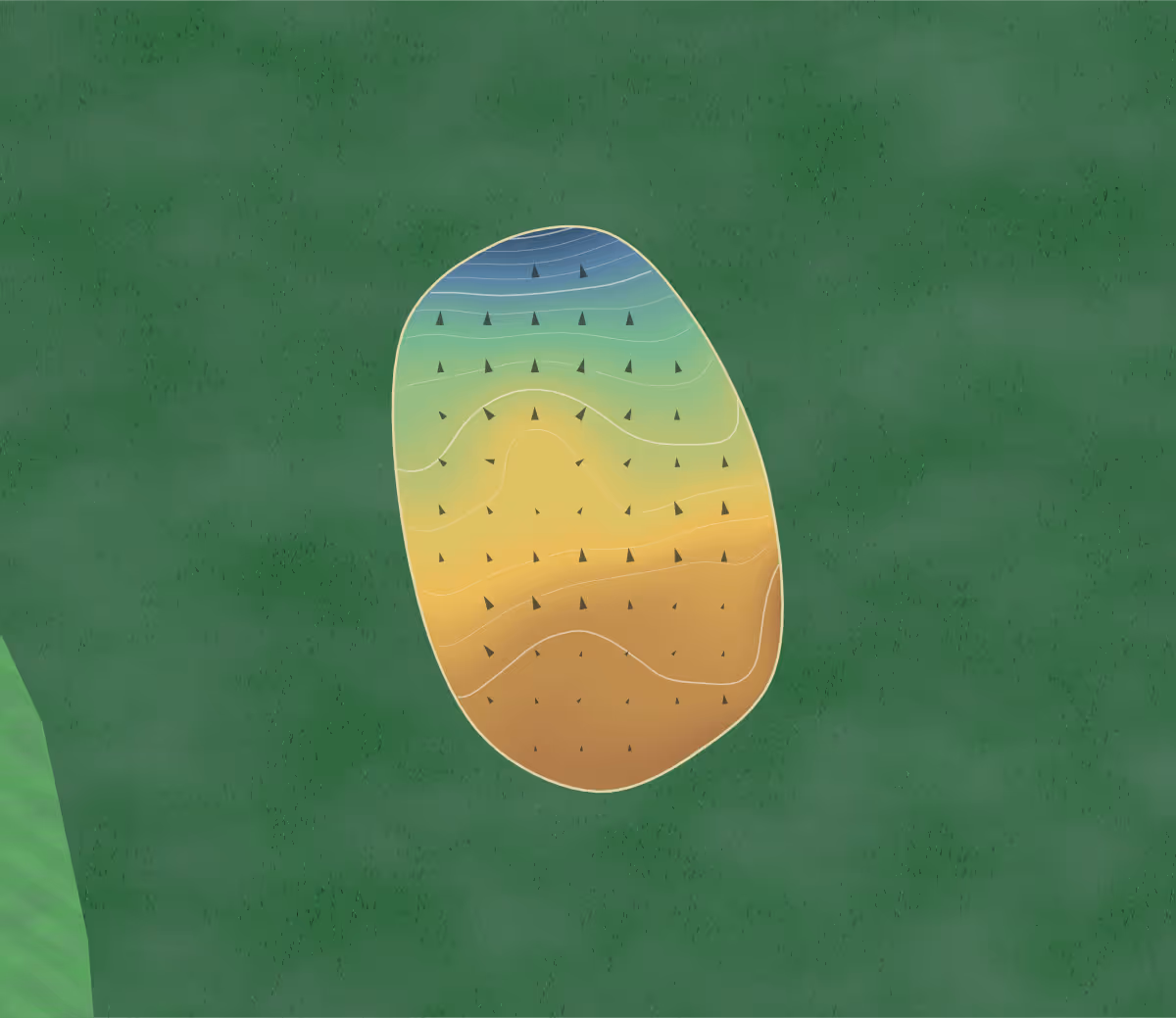 Green contour map of Greenwood in Sarnia, Canada: 116 elevation contours at a 8-centimeter interval with fall-line arrows, traced from 1-meter lidar