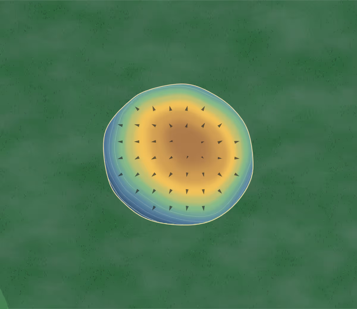 Green contour map of Greenwood in Bemidji, Minnesota: 99 elevation contours at a 3-inch interval with fall-line arrows, traced from 1-meter lidar