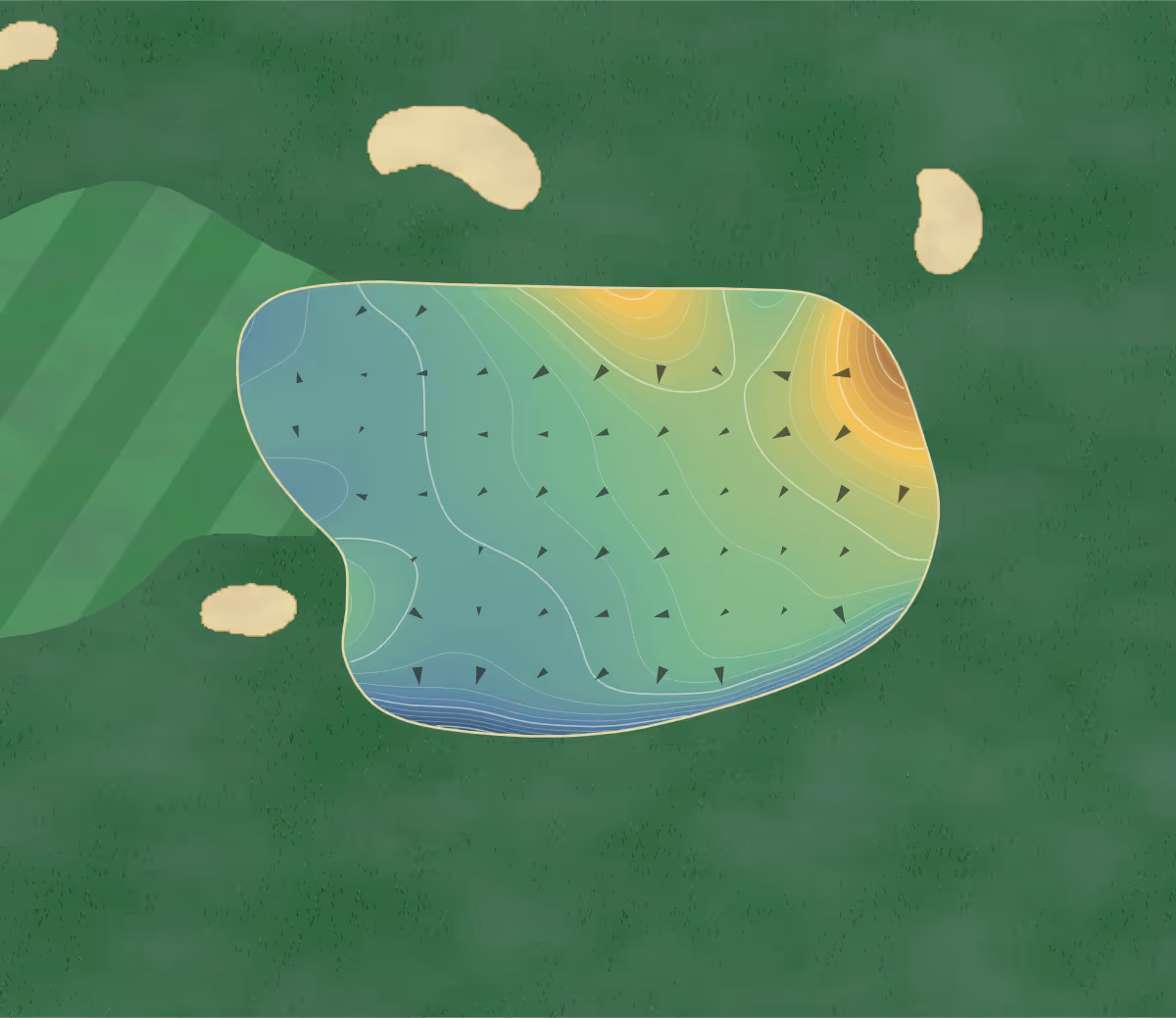 Green contour map of Grey Oaks Country Club - Estuary in Naples, Florida: 182 elevation contours at a 3-inch interval with fall-line arrows, traced from 1-meter lidar