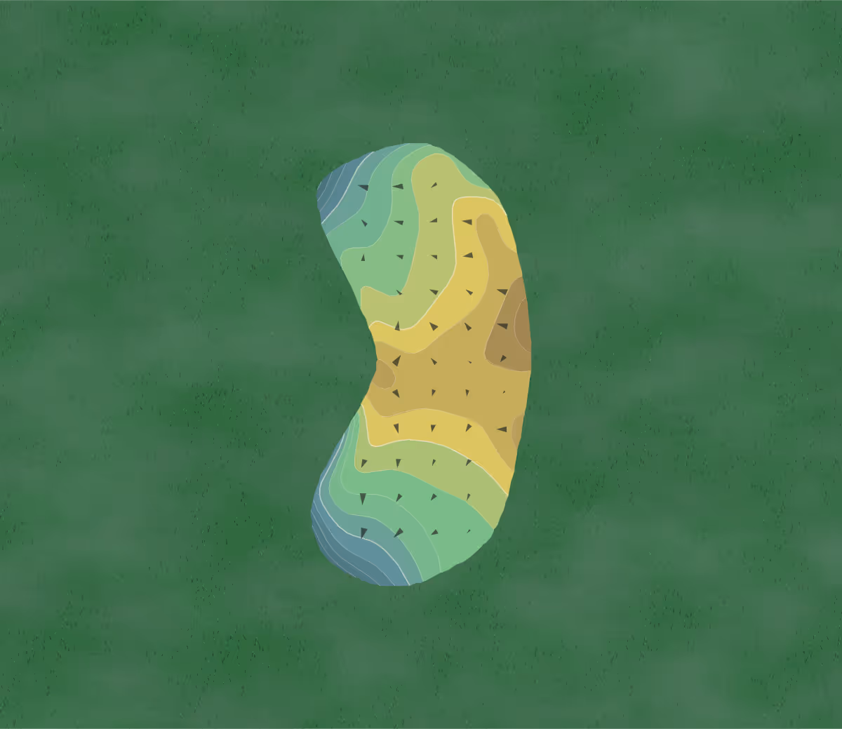 Green contour map of Grey Rock in Austin, Texas — 106 elevation contours at a 3-inch interval with fall-line arrows, traced from 1-meter lidar