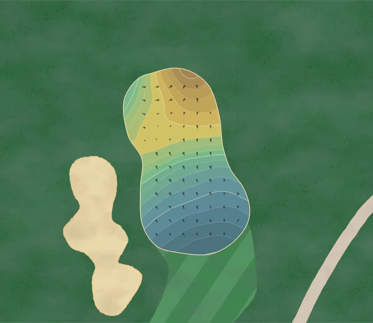 Green contour map of Greystone Golf Club in Sauk Center, Minnesota — 215 elevation contours at a 3-inch interval with fall-line arrows, traced from 1-meter lidar