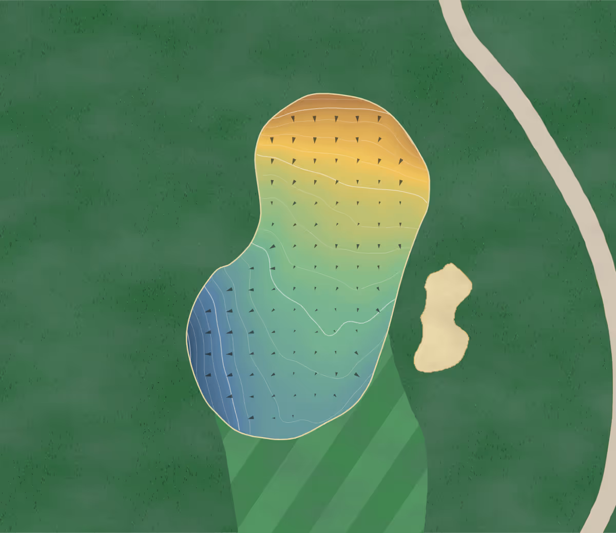 Green contour map of Greystone in Stedman, Alabama — 204 elevation contours at a 3-inch interval with fall-line arrows, traced from 1-meter lidar