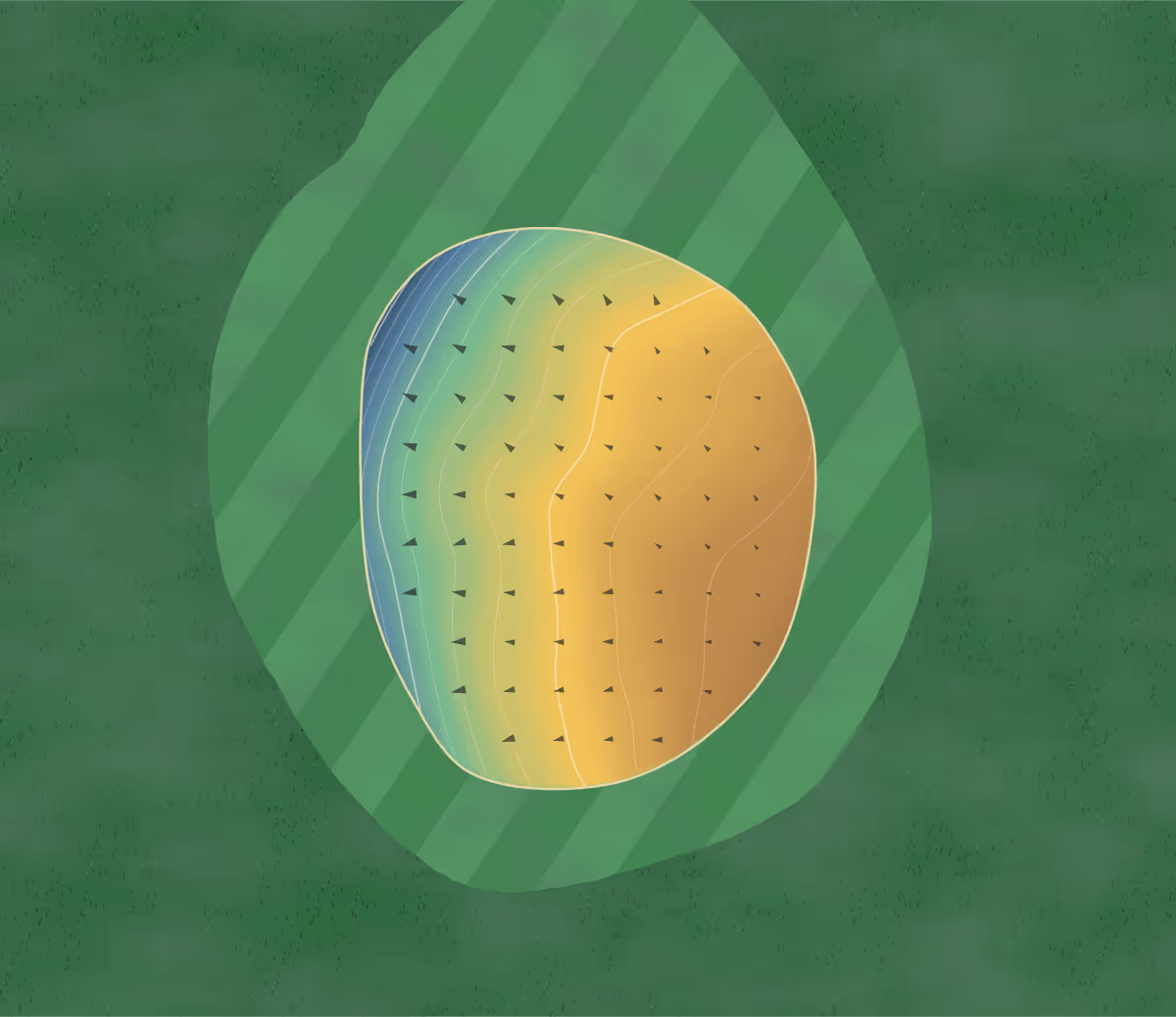 Green contour map of Griswold in Griswold, Iowa: 94 elevation contours at a 3-inch interval with fall-line arrows, traced from 1-meter lidar