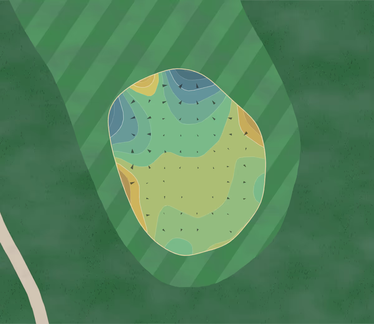 Green contour map of The Hackler Course in Conway, South Carolina — 162 elevation contours at a 3-inch interval with fall-line arrows, traced from 1-meter lidar