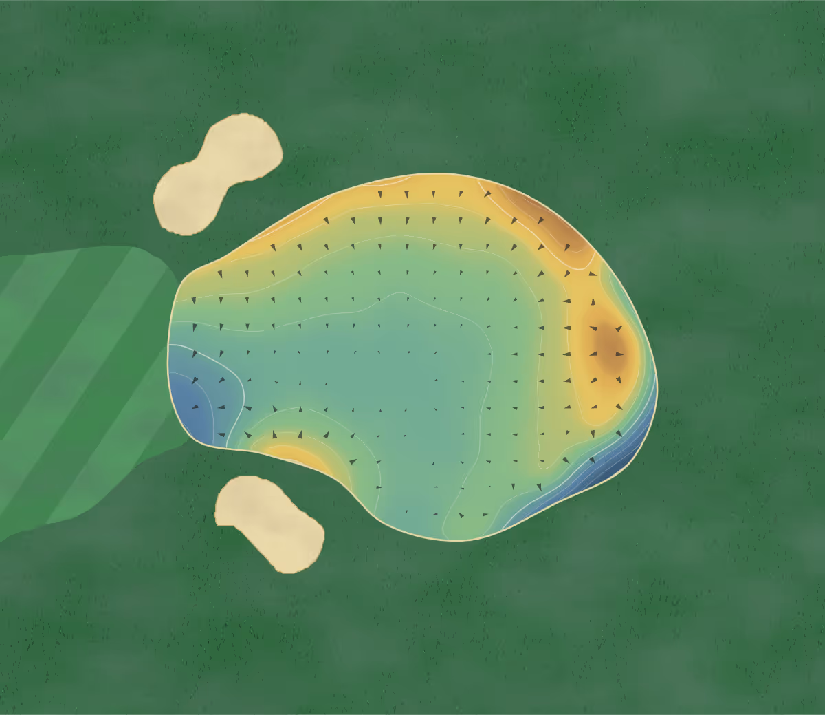 Green contour map of Halkett Course in Dunfermline, Scotland — 41 elevation contours at a 8-centimeter interval with fall-line arrows, traced from 1-meter lidar