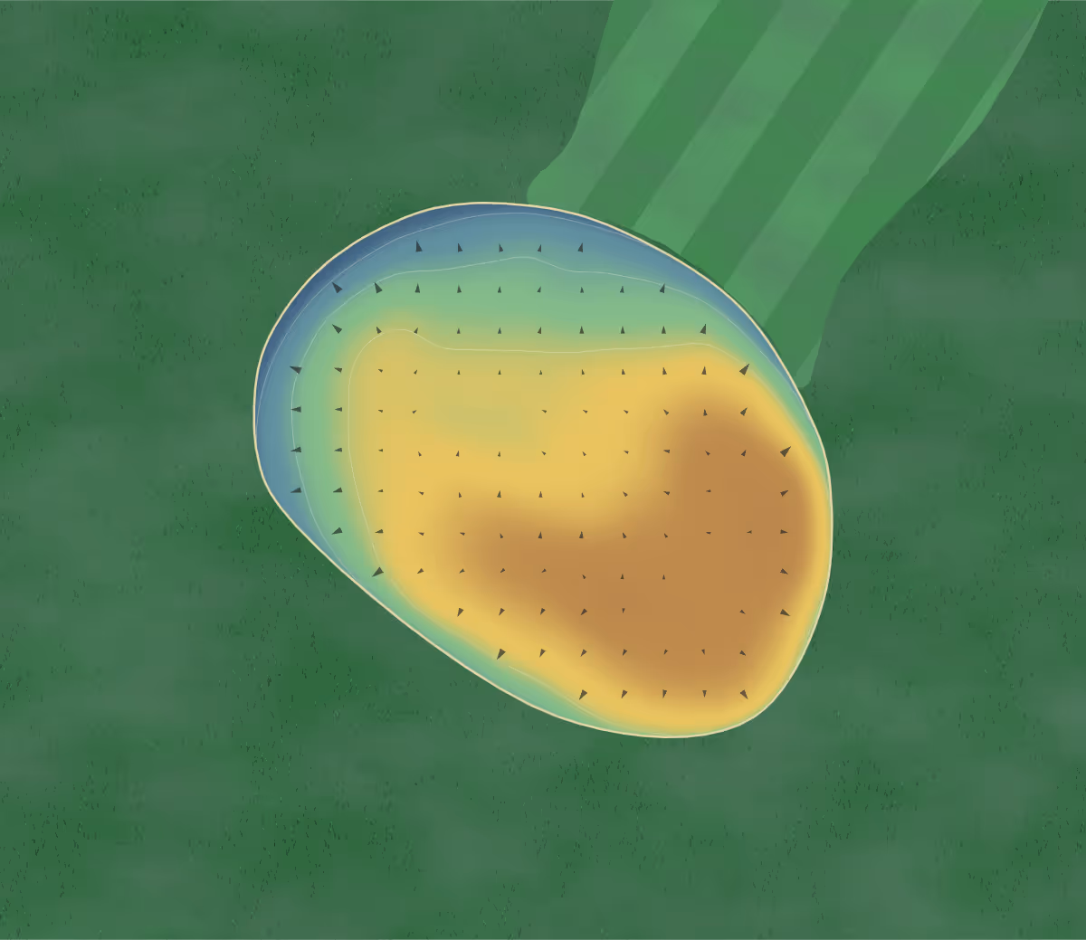 Green contour map of Halla Greens in Chanhassen, Minnesota: 65 elevation contours at a 3-inch interval with fall-line arrows, traced from 1-meter lidar