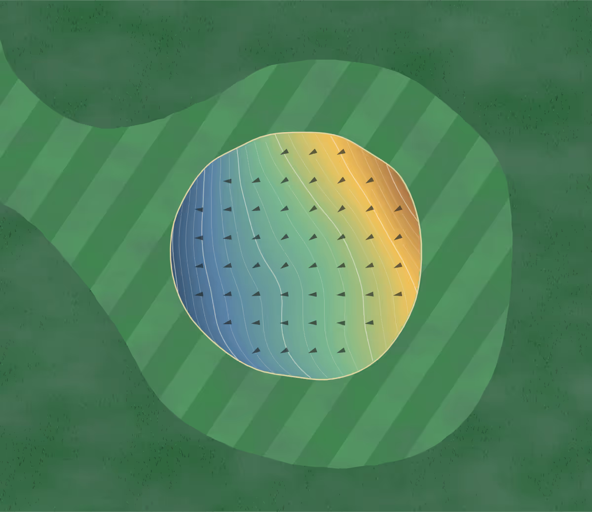 Green contour map of Hampton Cc in Hampton, Iowa — 115 elevation contours at a 3-inch interval with fall-line arrows, traced from 1-meter lidar