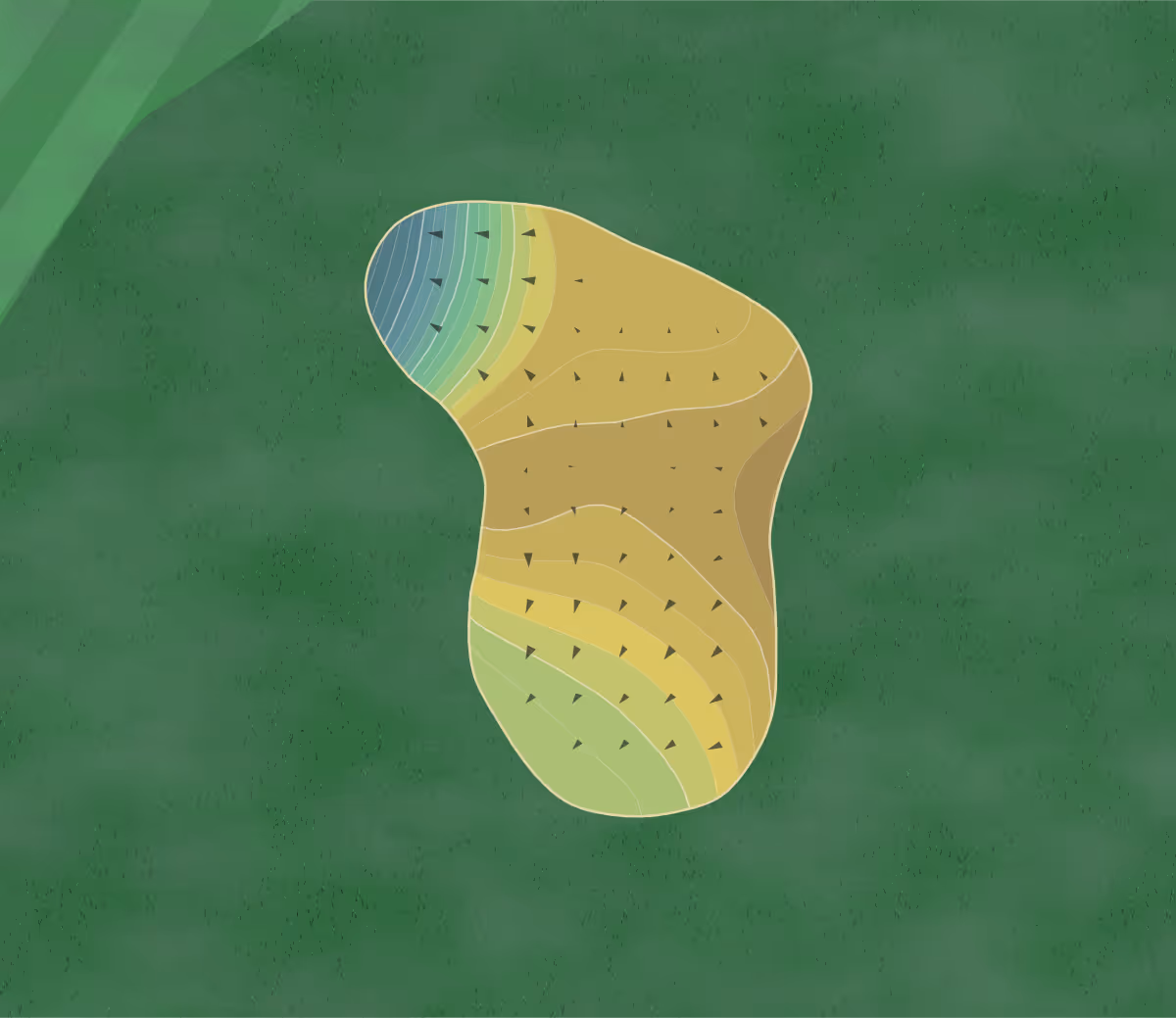 Green contour map of Hampton Golf in Cumming, Georgia — 174 elevation contours at a 3-inch interval with fall-line arrows, traced from 1-meter lidar